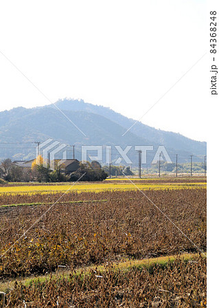 丹波黒（黒大豆）畑と高城山　11月　丹波篠山 84368248