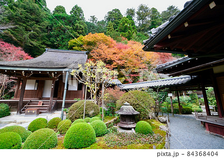 【京都】寂光院の紅葉(秋) 【京都】寂光院の紅葉(秋) 84368404