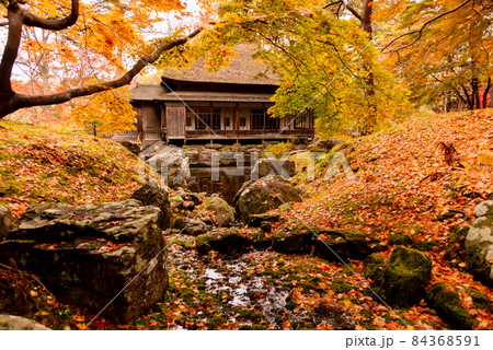 公園の隠れ家の秋 84368591