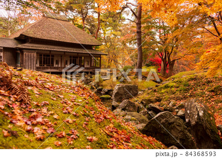 園亭を囲むような紅葉 84368593