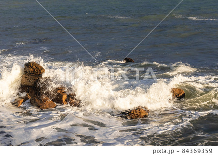 茨城県日立市　初崎海岸の岩場 84369359