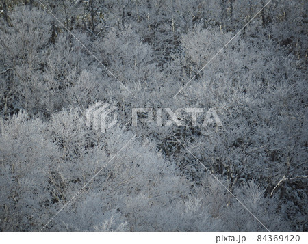 北海道北見市にある仁頃山オホーツク展望台からの霧氷 84369420
