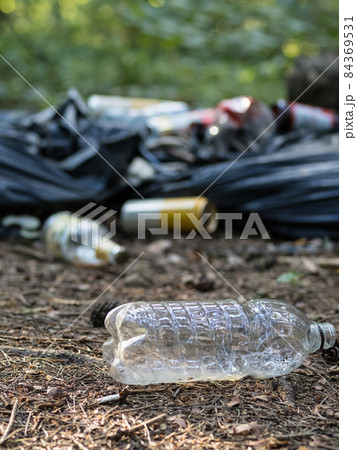 Plastic bottle and other waste in the forest Plastic bottle and other waste in the forest 84369531