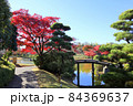 こしがや能楽堂、花田苑の紅葉（11月）埼玉県越谷市 84369637