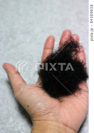 手に大量の毛を持つ人物 84369638