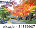 こしがや能楽堂、花田苑の紅葉（11月）埼玉県越谷市 84369987