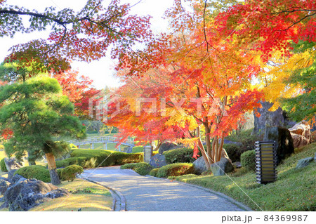 こしがや能楽堂、花田苑の紅葉(11月)埼玉県越谷市 こしがや能楽堂、花田苑の紅葉(11月)埼玉県越谷市 84369987