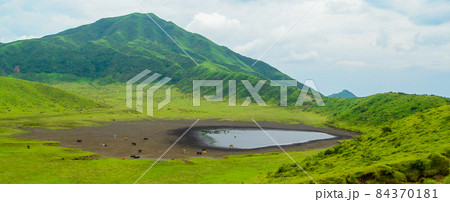 熊本県・夏の阿蘇草千里 84370181