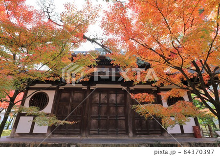 京都 永観堂の紅葉 京都 永観堂の紅葉 84370397