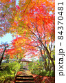 こしがや能楽堂、花田苑の紅葉と四阿（11月）埼玉県越谷市 84370481
