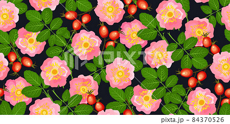 Rose hips with flowers, berries seamless pattern Rose hips with flowers, berries seamless pattern 84370526