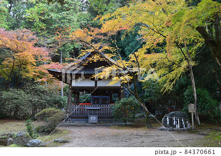 2021年錦秋の早朝に参拝した上賀茂神社の渉渓園が清々しい 2021年錦秋の早朝に参拝した上賀茂神社の渉渓園が清々しい 84370661
