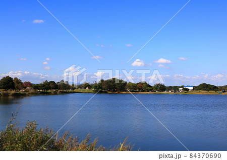 兵庫県 加古大池で撮影した写真 兵庫県 加古大池で撮影した写真 84370690