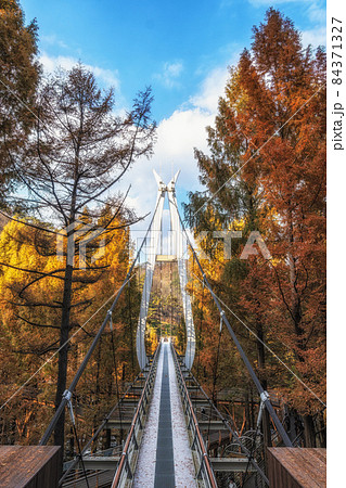 Jangtaesan Recreational Forest Suspension Bridge Jangtaesan Recreational Forest Suspension Bridge 84371327