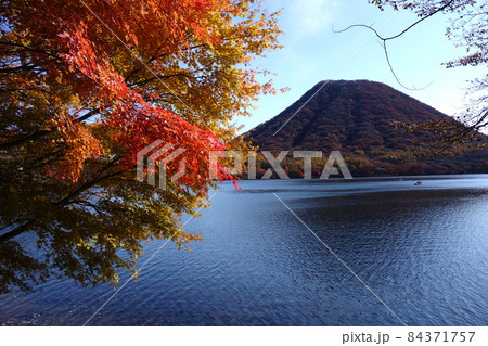 榛名湖周辺の紅葉 榛名湖周辺の紅葉 84371757