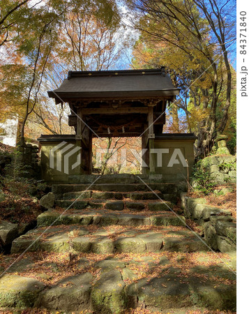 国東半島　両子寺山門の紅葉 84371840