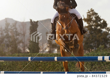 Rider on a sports horse jumping over an obstacle during the horse jumping event Rider on a sports horse jumping over an obstacle during the horse jumping event 84372329