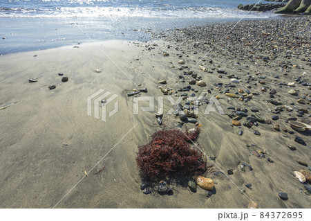 会瀬港近くの海岸の波打ち際 84372695