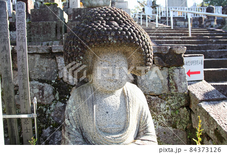 金戒光明寺の五刧思惟阿弥陀如来像　アフロ仏像 84373126