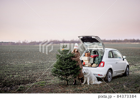 Woman with Christmas tree and dog near car on nature 84373384