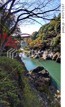 渡良瀬川の高津戸峡　紅葉 84375167
