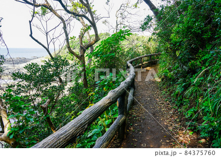 荒崎公園「夕日の丘」に至る崖の道（神奈川県横須賀市荒崎海岸） 84375760