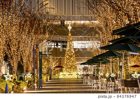 さいたま新都心 コクーンシティのイルミネーション けやき広場のクリスマスツリー さいたま新都心 コクーンシティのイルミネーション けやき広場のクリスマスツリー 84376947
