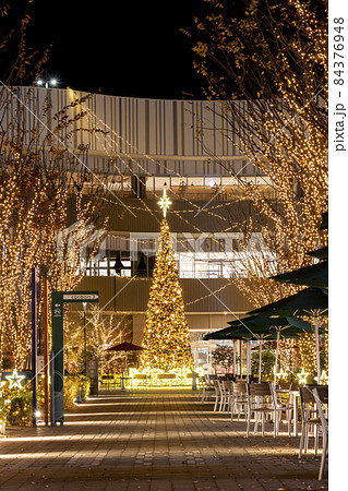 さいたま新都心 コクーンシティのイルミネーション けやき広場のクリスマスツリーの写真素材