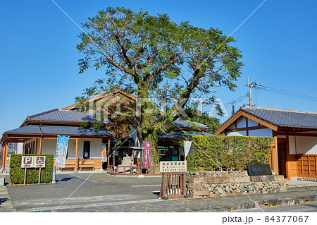 出水麓歴史館 出水麓歴史館 84377067