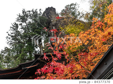 紅葉：秋 84377370