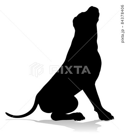 Dog Silhouette Pet Animal Dog Silhouette Pet Animal 84378406