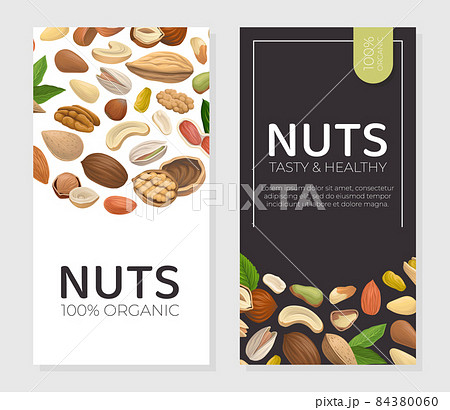 Nuts with Cashew and Almond Vertical Card Cover Vector Template Nuts with Cashew and Almond Vertical Card Cover Vector Template 84380060