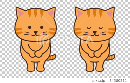 一隻貓鞠躬全身的插圖 一隻貓鞠躬全身的插圖 84380211