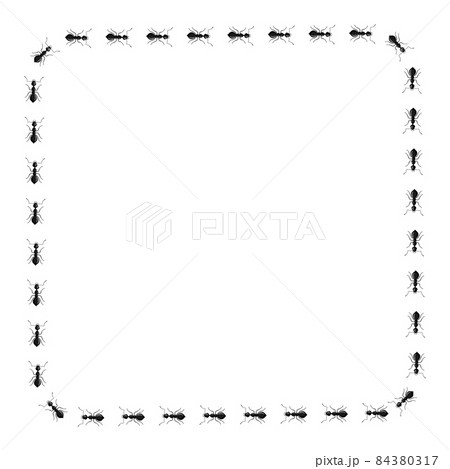 Square ants isolated on white background. Vector insects character in flat style for books illustration. 84380317