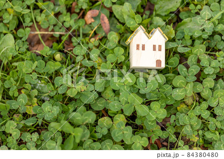 クローバーと小さな木製のおうち 84380480
