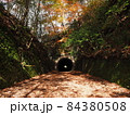 秋のJR福知山線　廃線敷ルート　トンネル 84380508