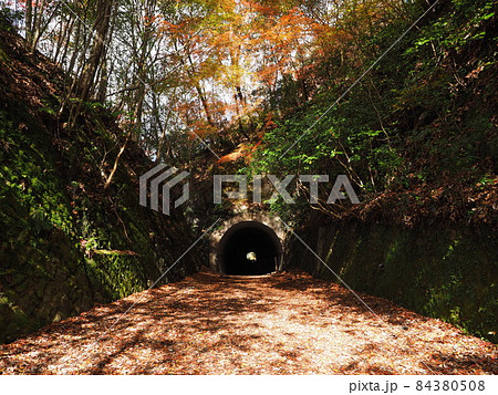 秋のJR福知山線 廃線敷ルート トンネル 秋のJR福知山線 廃線敷ルート トンネル 84380508