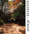 秋のJR福知山線　廃線敷ルート　トンネル 84380509