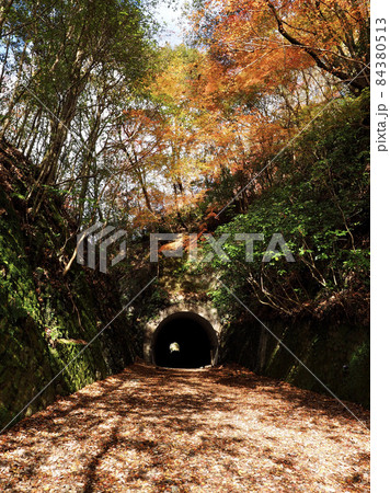 秋のJR福知山線 廃線敷ルート トンネル 秋のJR福知山線 廃線敷ルート トンネル 84380513