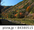 秋のJR福知山線　廃線敷ルート 84380515