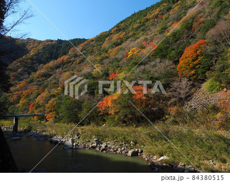 秋のJR福知山線　廃線敷ルート 84380515
