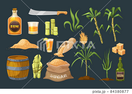 Fresh cane sugar with stem and leaf plants set. Sugarcane plants, cane sugar lumps and cube, glass bottles of rum, bamboo, rum alcoholic liquid. Natural organic alcohol industry food vector 84380877
