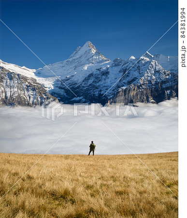 Tourist with a backpack in the mountains. Mountain hiking in the high mountains. 84381994