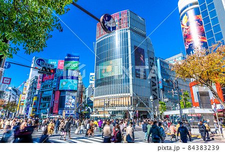 日本の東京都市景観 11月・「◎英国で2人がコロナ新変異株に感染。」の速報…渋谷は脅威の人流=28日 日本の東京都市景観 11月・「◎英国で2人がコロナ新変異株に感染。」の速報…渋谷は脅威の人流=28日 84383239