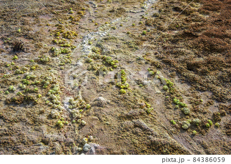 Pollution of the grounds with toxic waste from mining copper Pollution of the grounds with toxic waste from mining copper 84386059