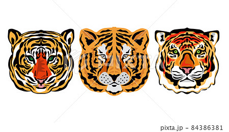 Tiger face collection 2 84386381