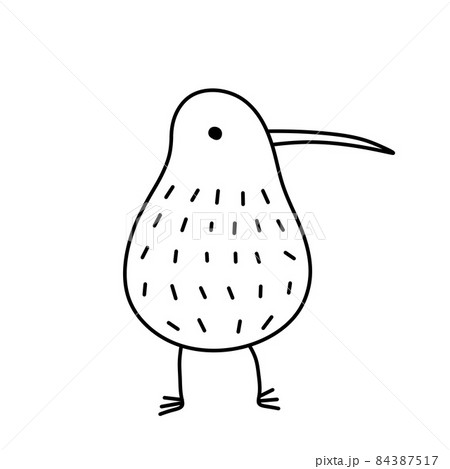 Kiwi bird. Rare Australian animal. - Stock Illustration [84387517] - PIXTA