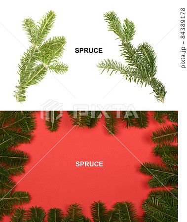 Creative layout made of spruce branch. High resolution photo. Creative layout made of spruce branch. High resolution photo. 84389178