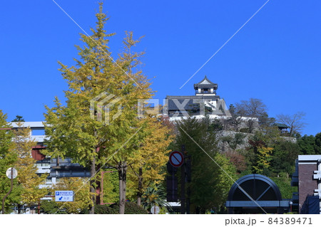 高知城と銀杏の木　秋　（高知県　高知市） 84389471