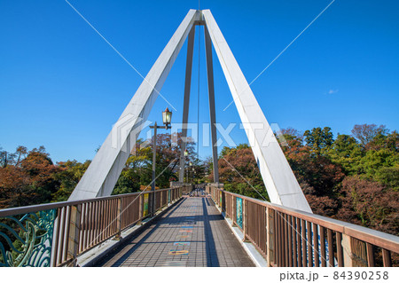 はねたき橋　高津戸峡　高津戸渓谷　紅葉はじめ　秋の風景 84390258